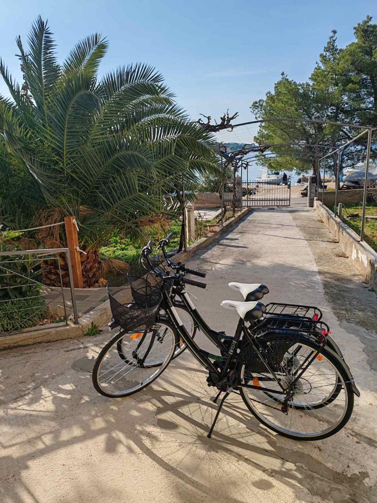 Apartments Alisa Brodarica  Dış mekan fotoğraf